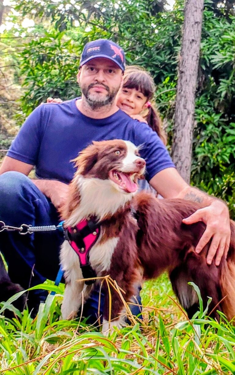 Border Collie do canil Jackmel