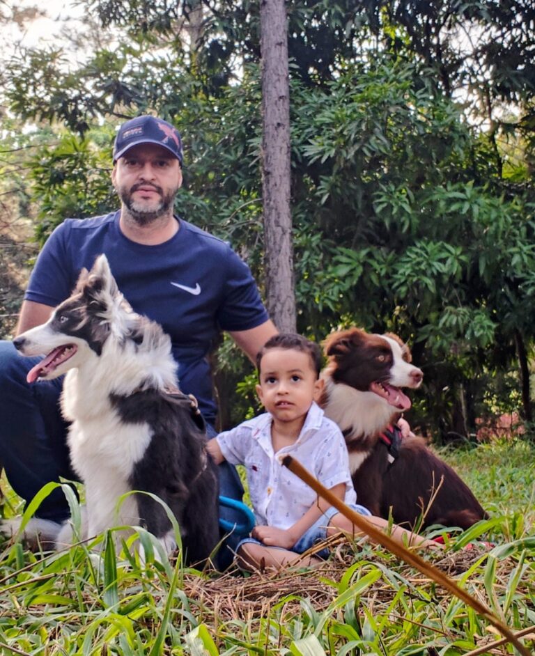 Border Collie do canil Jackmel